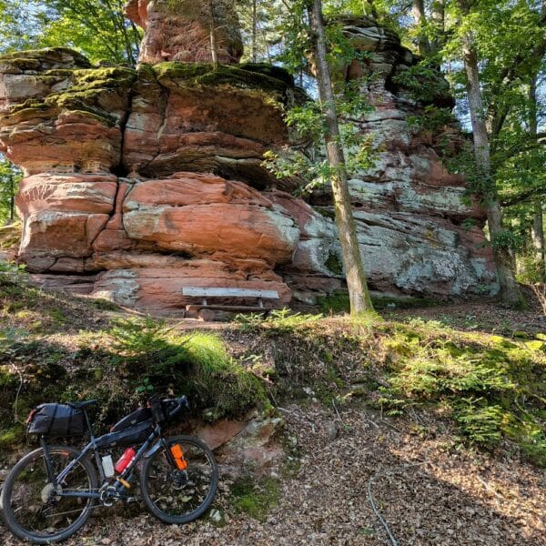 tmv traversee du massif vosgien